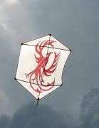 29- Rokkaku Phoenix - Jean-Christophe Labrouche w